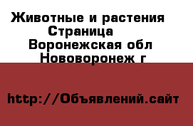  Животные и растения - Страница 35 . Воронежская обл.,Нововоронеж г.